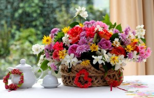 oboik.ru_30959